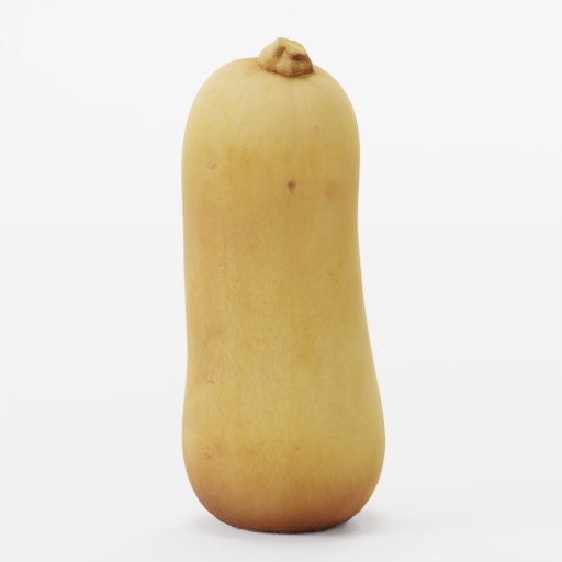 Butternut Squash  preview image 1